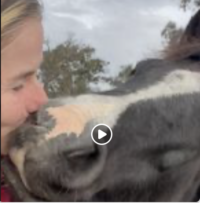 BNI MENTAL HEALTH BREAK: The Kiss Monster!